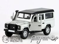 Land Rover Defender 110 (2007) 36100011