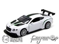Bentley Continental GT3 (2013) 250258 [KD]