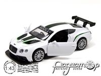 Bentley Continental GT3 (2013) 250258 [KD]