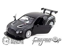 Bentley Continental GT3 (2013) 250259 [KD]