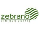 Новинка от Zebrano